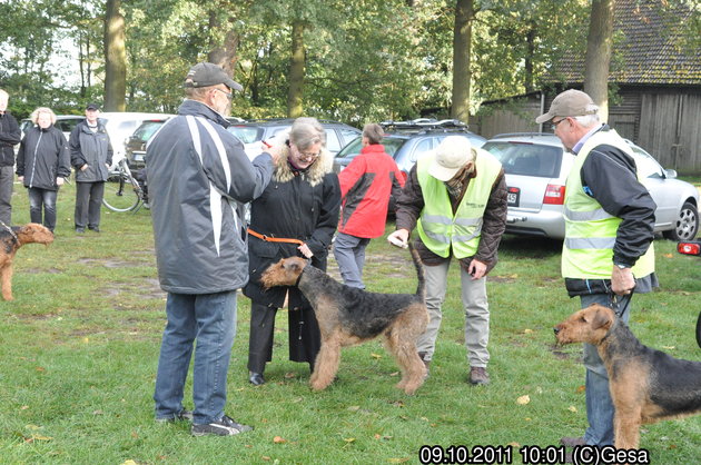 Ausdauerprüfung 2011, Bilder.