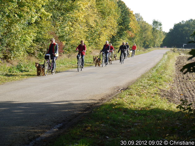 Ausdauerprüfung 2012, Bilder.