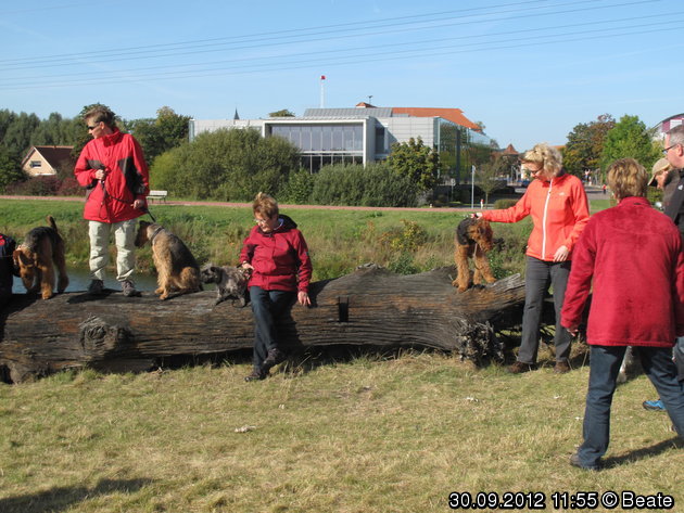 Ausdauerprüfung 2012, Bilder.