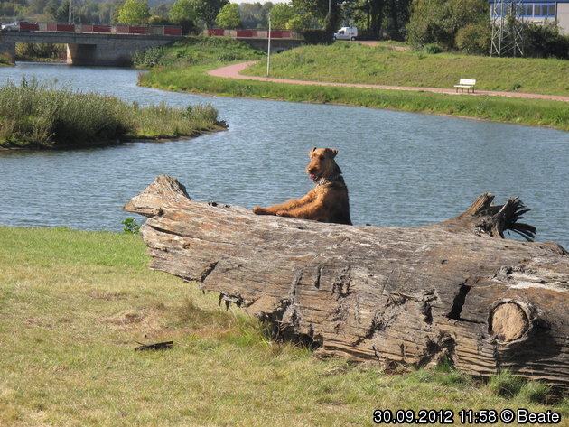 Ausdauerprüfung 2012, Bilder.