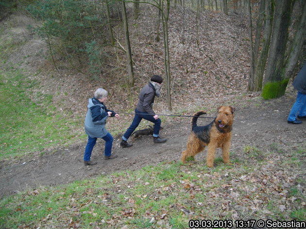 Mitgliederversammlung 2013, Bilder.