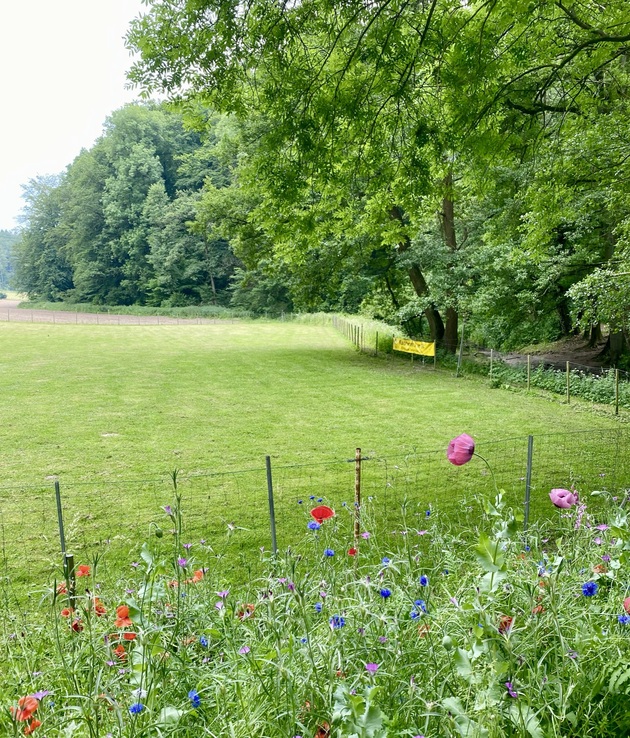 Nettetal, großer Platz