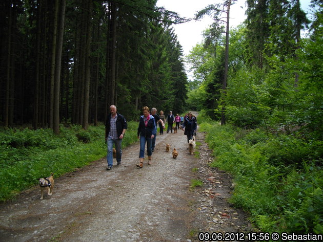 Wandertag 2012, Bilder.