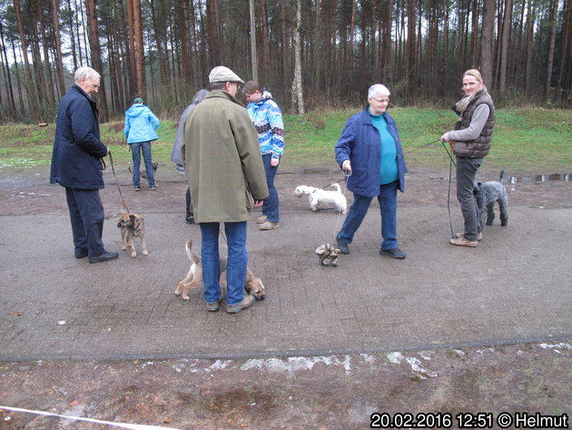 Zuchtzulassung 2016, Bilder.